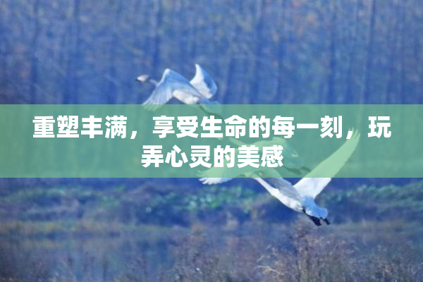 重塑丰满，享受生命的每一刻，玩弄心灵的美感