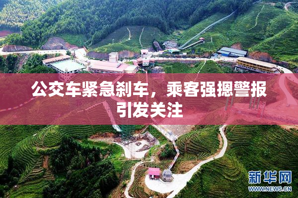 公交车紧急刹车，乘客强摁警报引发关注