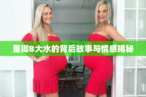 董卿B大水的背后故事与情感揭秘