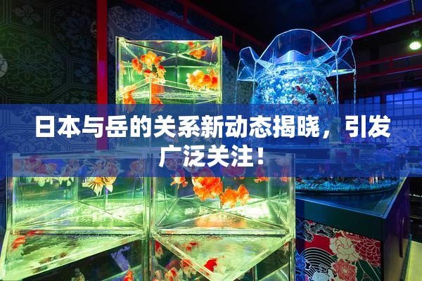 日本与岳的关系新动态揭晓，引发广泛关注！