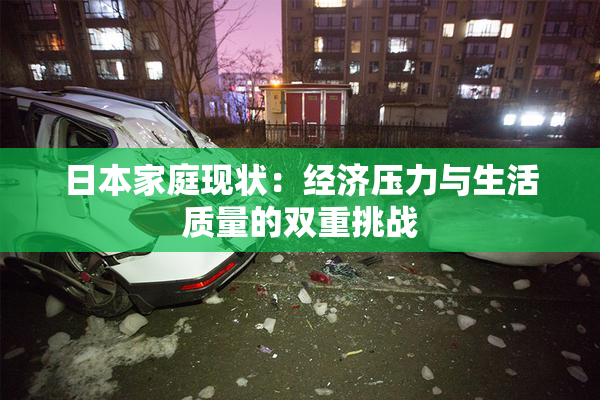 日本家庭现状：经济压力与生活质量的双重挑战