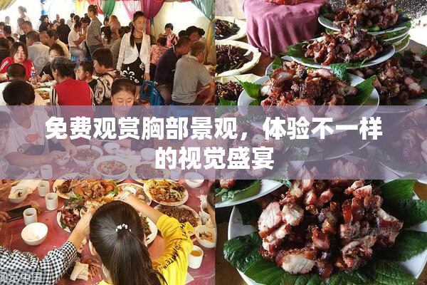 免费观赏胸部景观，体验不一样的视觉盛宴