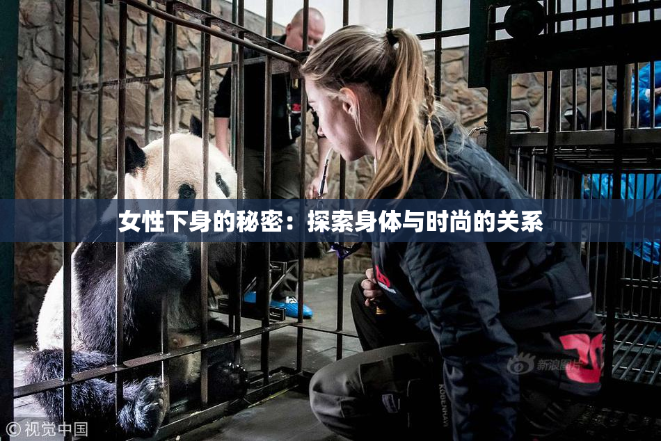 女性下身的秘密：探索身体与时尚的关系
