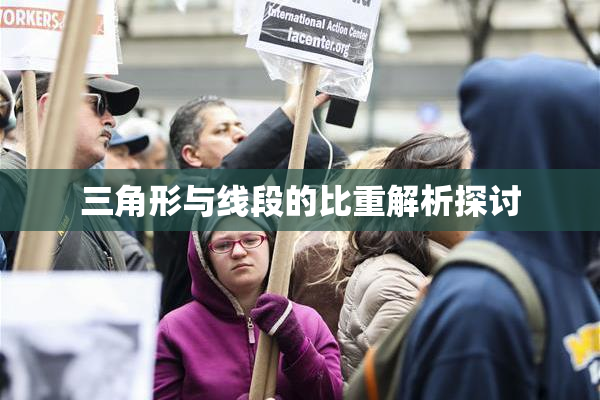 三角形与线段的比重解析探讨