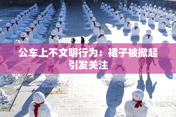 公车上不文明行为：裙子被掀起引发关注