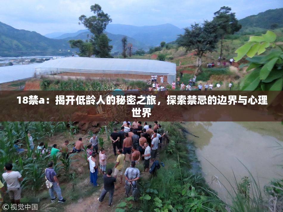 18禁a：揭开低龄人的秘密之旅，探索禁忌的边界与心理世界