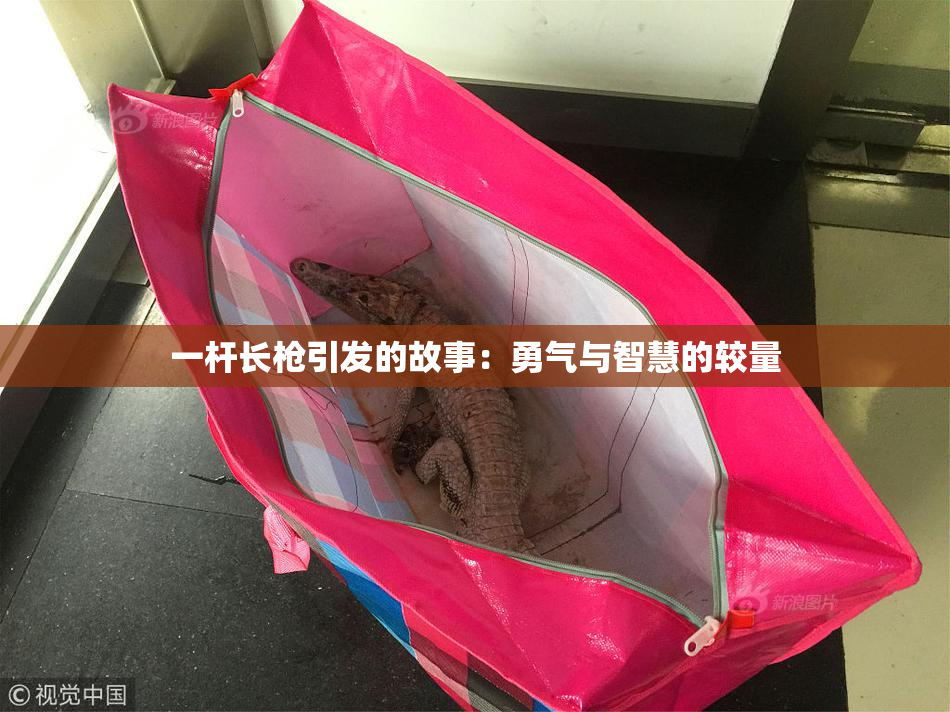 一杆长枪引发的故事：勇气与智慧的较量