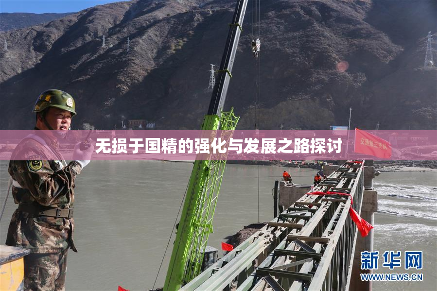 无损于国精的强化与发展之路探讨
