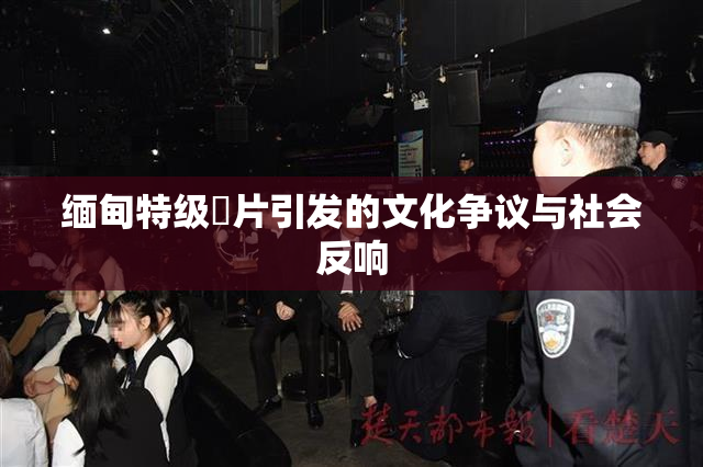 缅甸特级婬片引发的文化争议与社会反响