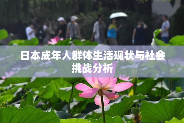 日本成年人群体生活现状与社会挑战分析