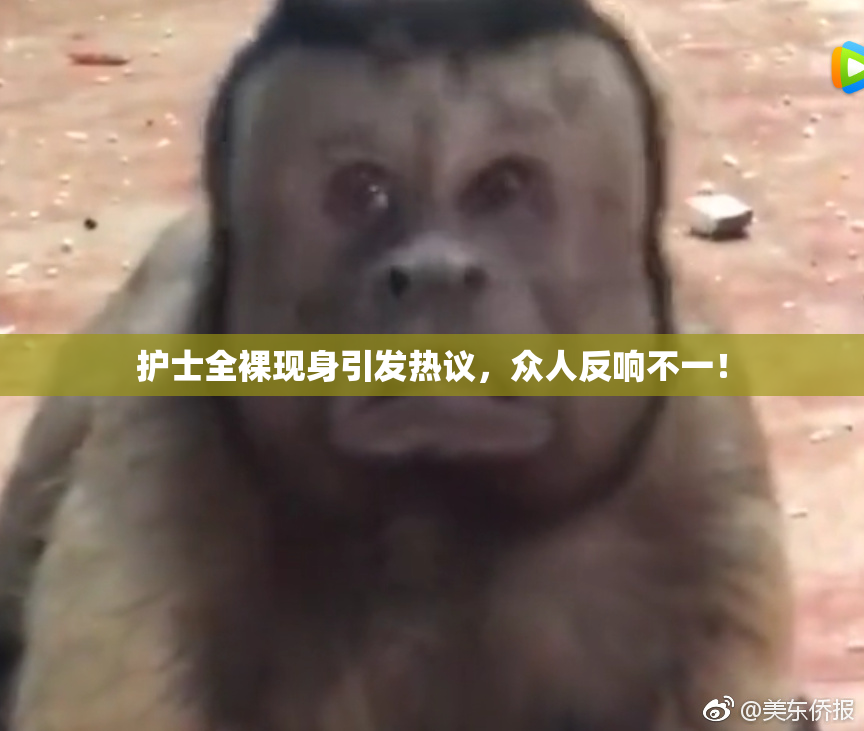 护士全裸现身引发热议，众人反响不一！