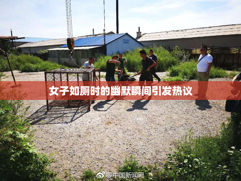 女子如厕时的幽默瞬间引发热议