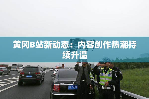 黄冈B站新动态：内容创作热潮持续升温