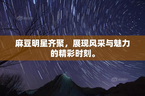 麻豆明星齐聚，展现风采与魅力的精彩时刻。