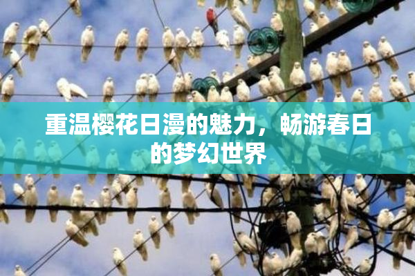重温樱花日漫的魅力，畅游春日的梦幻世界