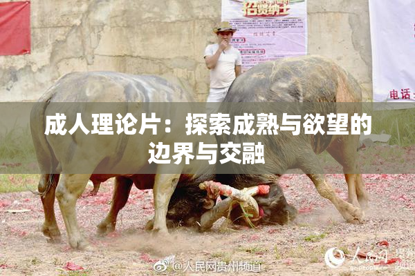 成人理论片：探索成熟与欲望的边界与交融