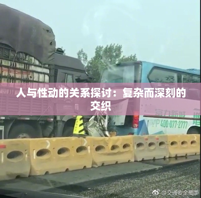人与性动的关系探讨：复杂而深刻的交织