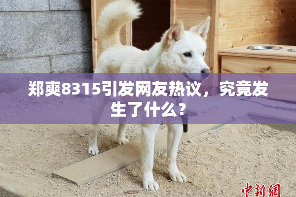 郑爽8315引发网友热议，究竟发生了什么？