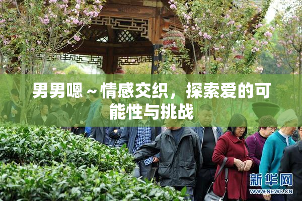 男男嗯～情感交织，探索爱的可能性与挑战
