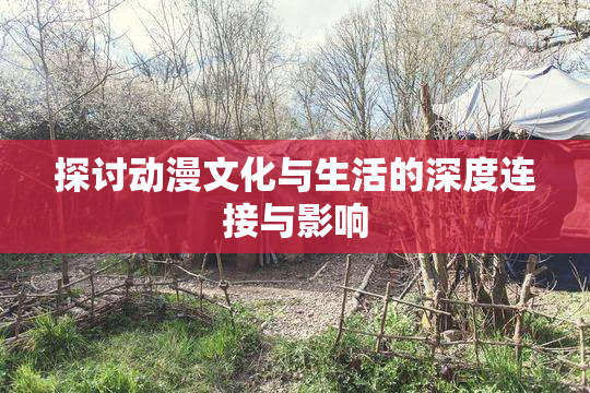 探讨动漫文化与生活的深度连接与影响