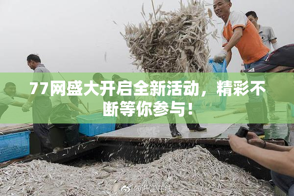 77网盛大开启全新活动，精彩不断等你参与！