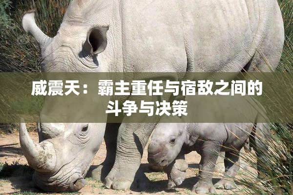 威震天：霸主重任与宿敌之间的斗争与决策