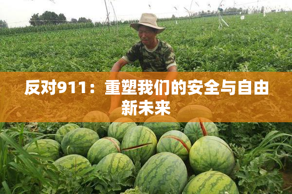 反对911：重塑我们的安全与自由新未来