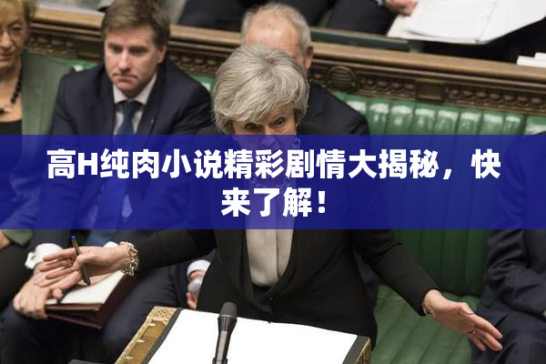 高H纯肉小说精彩剧情大揭秘，快来了解！