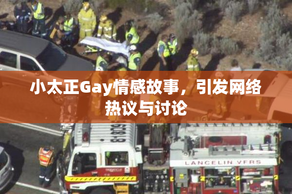 小太正Gay情感故事，引发网络热议与讨论