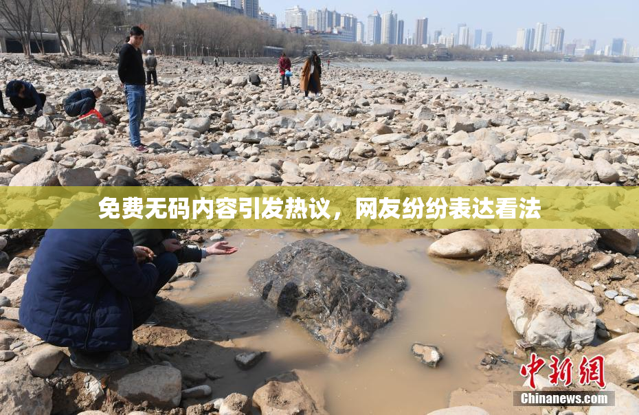 免费无码内容引发热议，网友纷纷表达看法