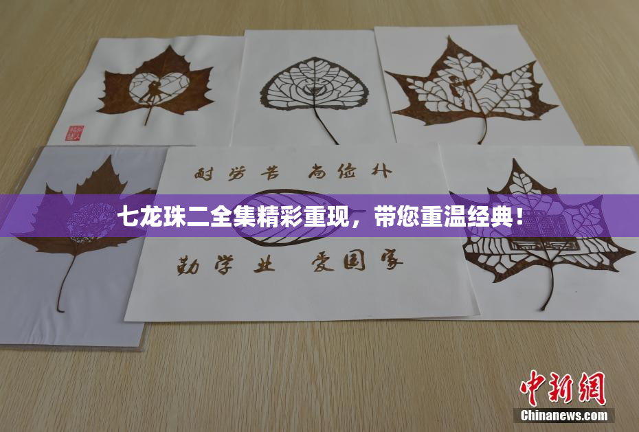 七龙珠二全集精彩重现，带您重温经典！