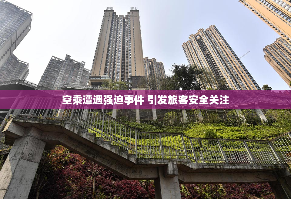 空乘遭遇强迫事件 引发旅客安全关注