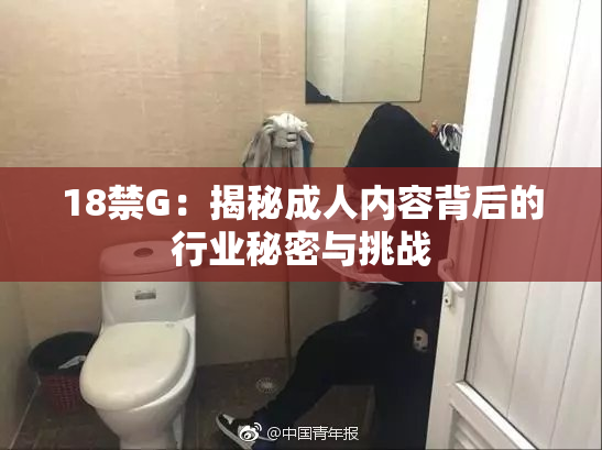 18禁G：揭秘成人内容背后的行业秘密与挑战