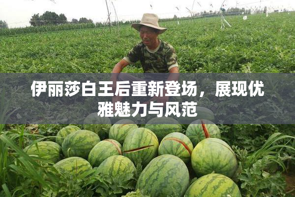 伊丽莎白王后重新登场，展现优雅魅力与风范