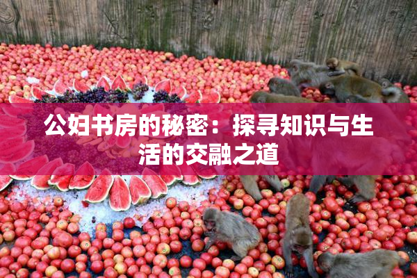 公妇书房的秘密：探寻知识与生活的交融之道