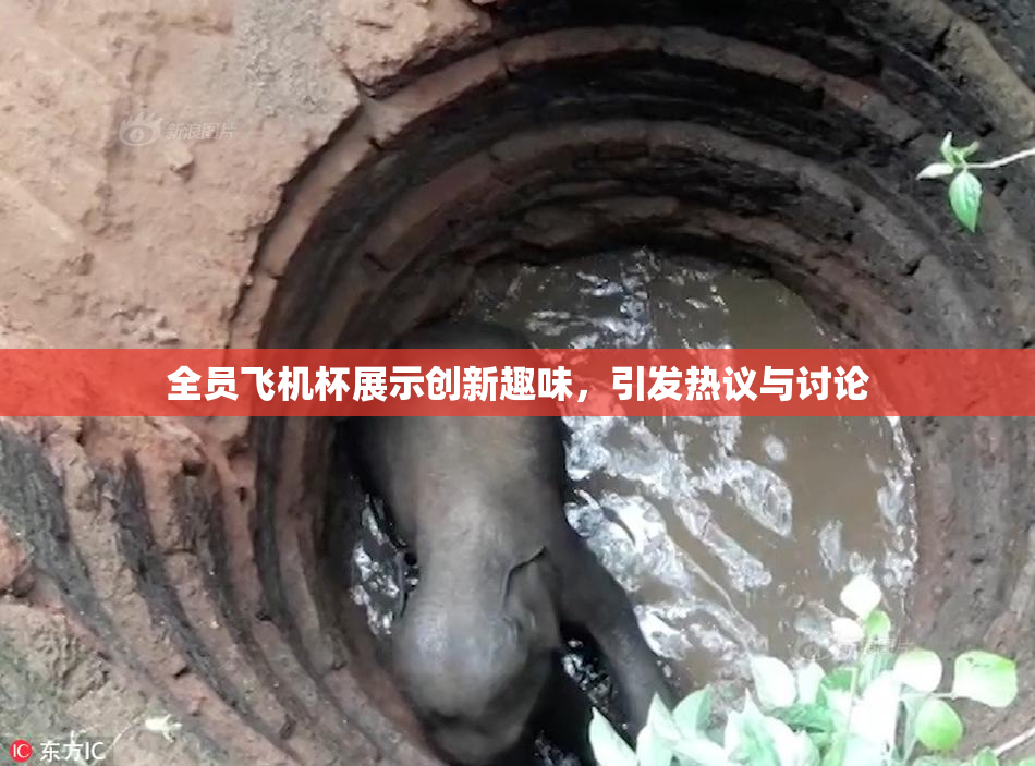 全员飞机杯展示创新趣味，引发热议与讨论