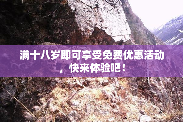 满十八岁即可享受免费优惠活动，快来体验吧！