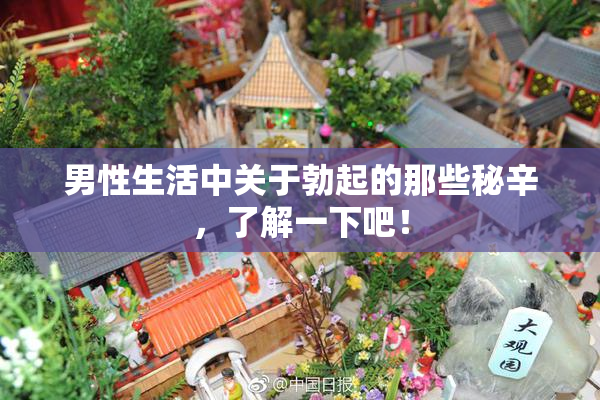 男性生活中关于勃起的那些秘辛，了解一下吧！