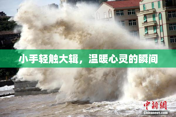 小手轻触大辑，温暖心灵的瞬间