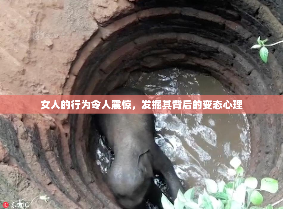 女人的行为令人震惊，发掘其背后的变态心理