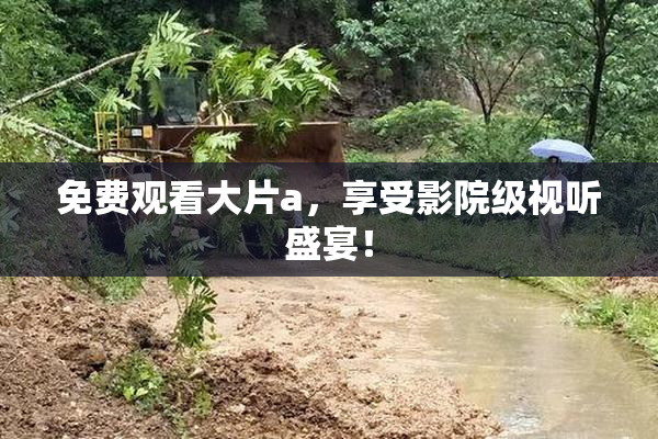 免费观看大片a，享受影院级视听盛宴！
