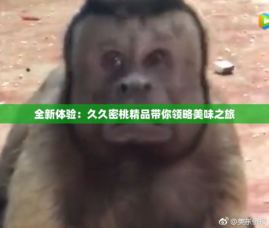 全新体验：久久密桃精品带你领略美味之旅