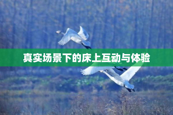 真实场景下的床上互动与体验