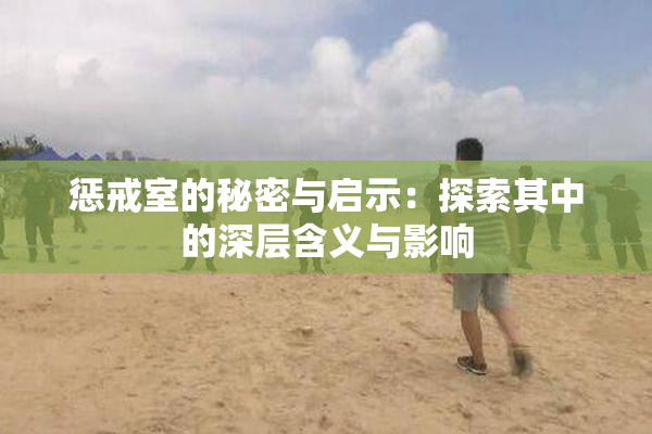 惩戒室的秘密与启示：探索其中的深层含义与影响
