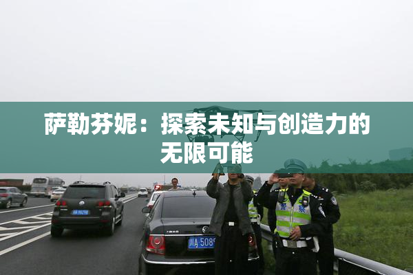 萨勒芬妮：探索未知与创造力的无限可能