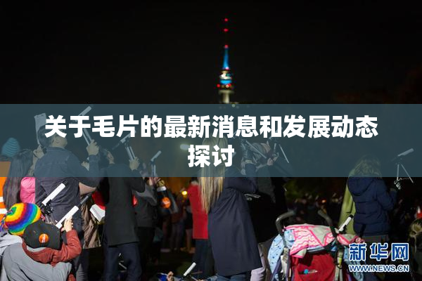 关于毛片的最新消息和发展动态探讨