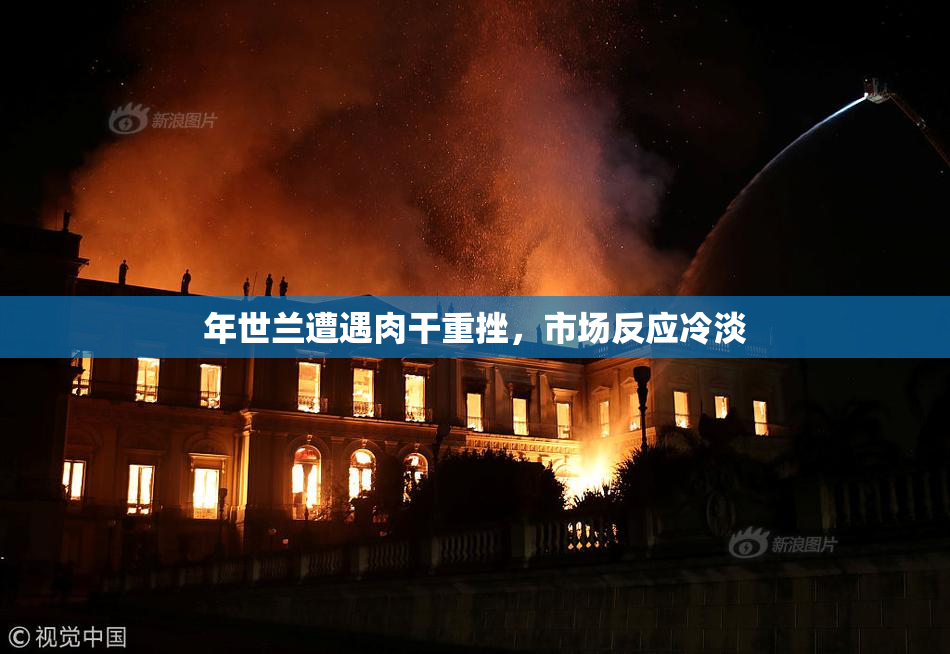 年世兰遭遇肉干重挫，市场反应冷淡