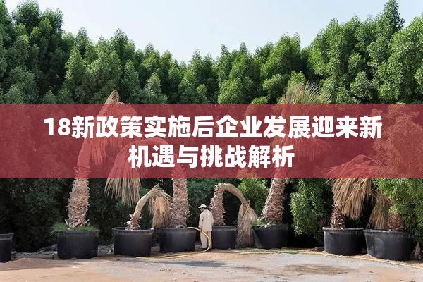 18新政策实施后企业发展迎来新机遇与挑战解析