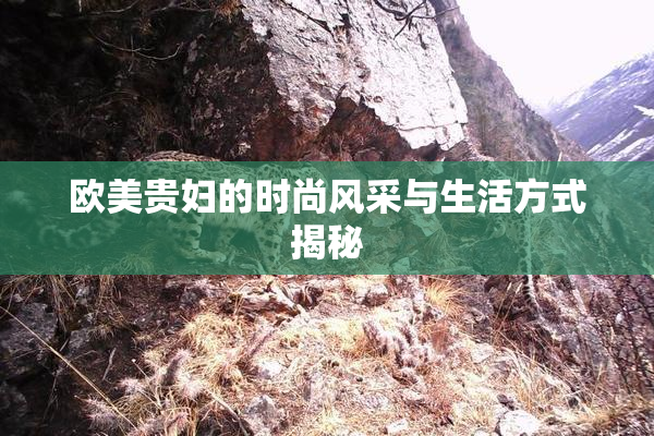 欧美贵妇的时尚风采与生活方式揭秘