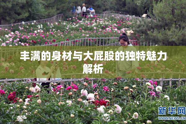 丰满的身材与大屁股的独特魅力解析